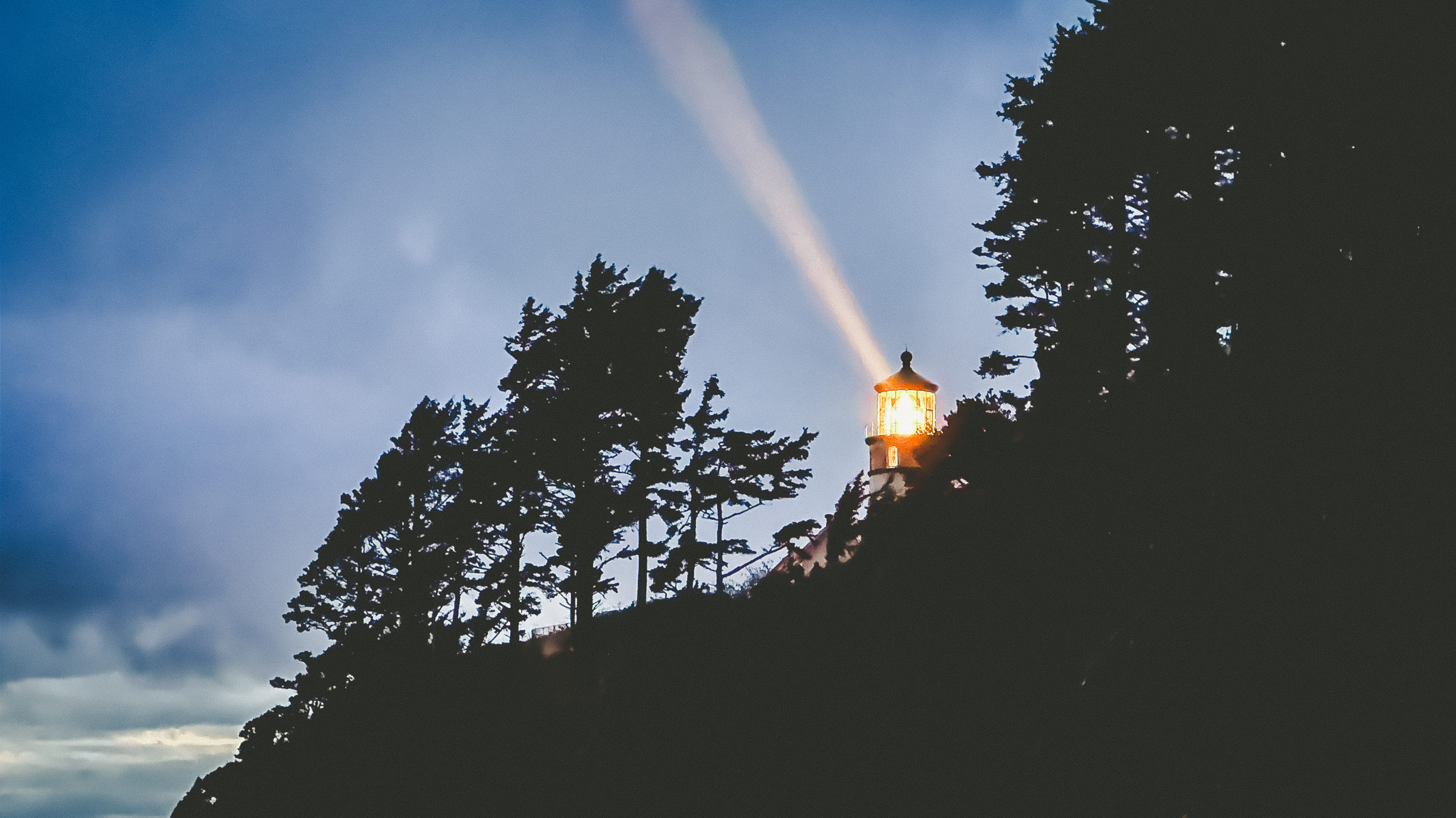 Visiting the Oregon Coast - The Shore Pines